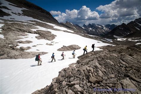 wildland trekking|wildland trekking reviews.